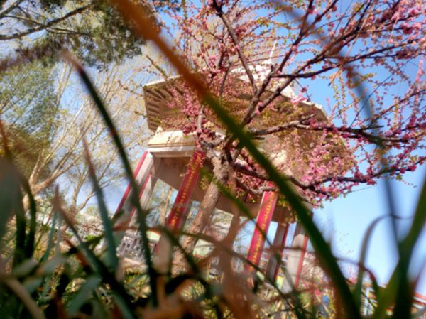 64a6cf35a759b.jpg jdimage003.jpg