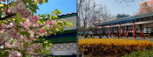 64a6cf4c51ac8.jpg jdimage005_副本.jpg